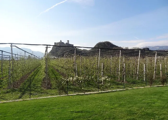 Klotz 아파트 볼차노